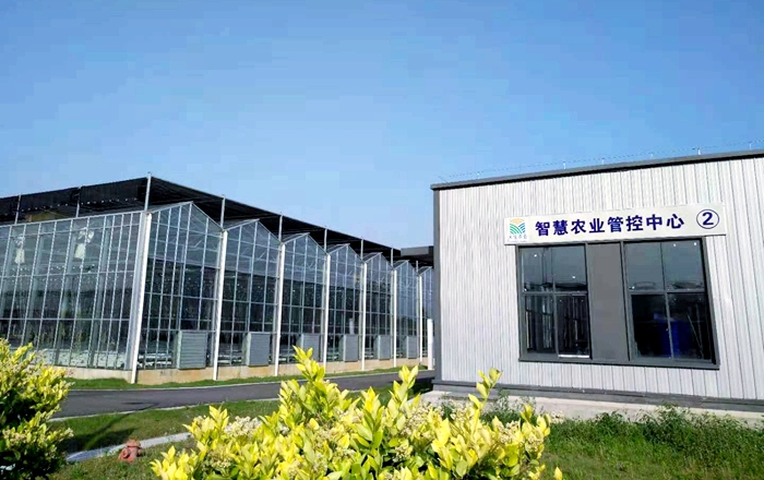 温室大棚 温室大棚