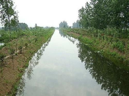 黑臭河道污水凈化技術有哪些特點? 黑臭河道污水凈化技術有哪些特點?