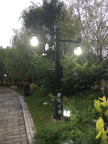 浙江省平湖市樱花公园建设示范路项目案例