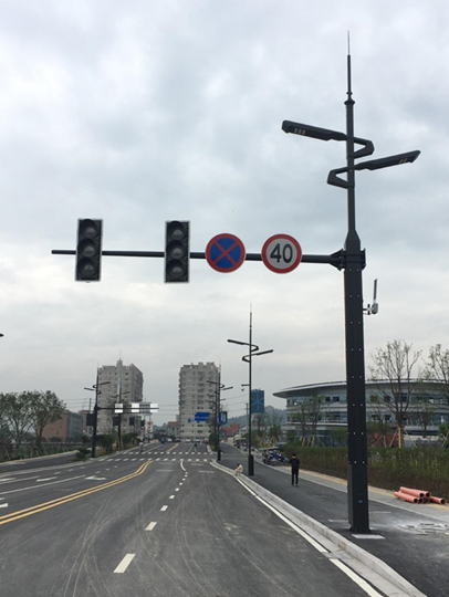 浙江省乐清市长东路示范路项目案例
