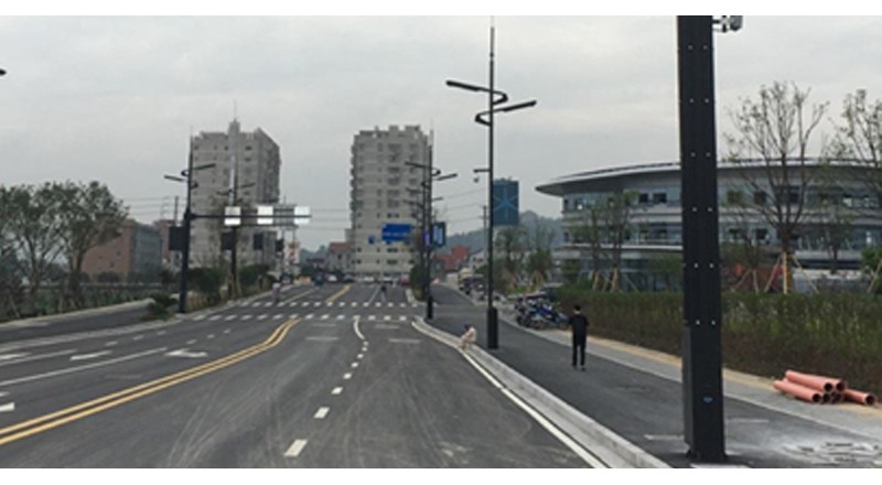 浙江省乐清市长东路示范路项目案例