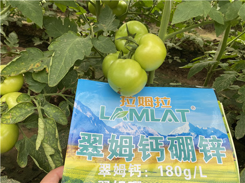 钙硼肥很重要，这两点要注意！