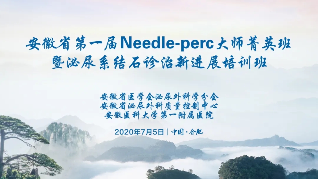 安徽省第一届 Needle-perc大师菁英班暨泌尿系结石诊治新进展培训班成功举办