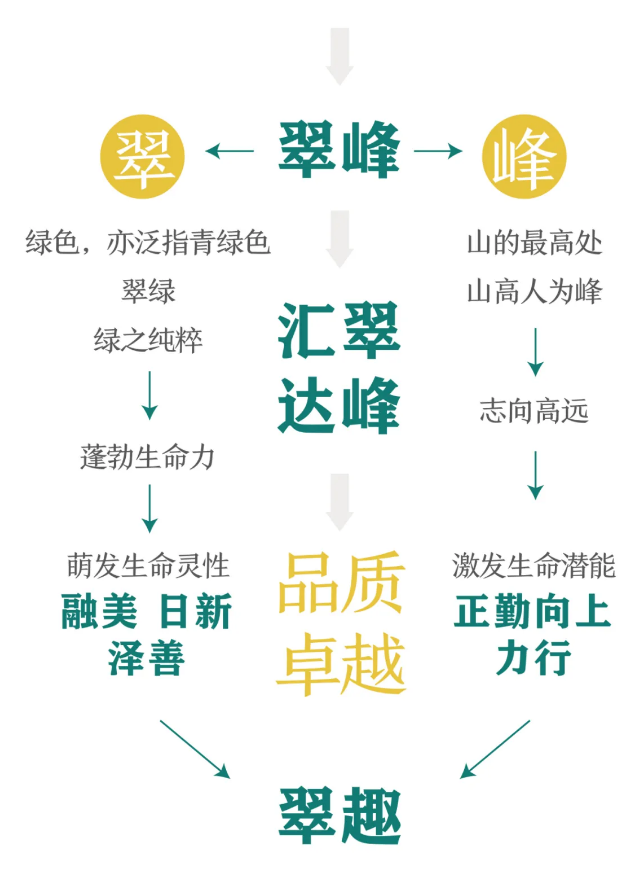 德学致翠·由我为峰-淮北市翠峰小学文化建设