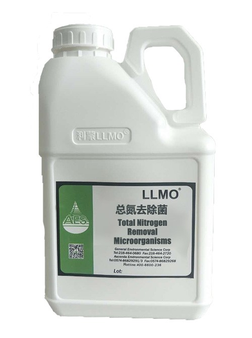 反硝化菌 反硝化菌