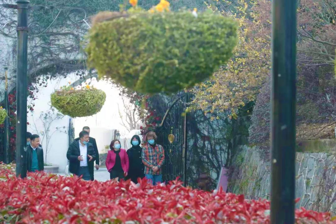 【葆蒂兰国际|美地港医疗资讯】南太湖新区管理委员会党工委副书记、常务副主任徐晓惠女士一行走进美地港医疗视察调研！