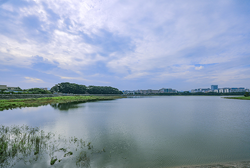 自然與產(chǎn)業(yè)“邂逅”—— 在光明汽車城文化主題公園中開啟浪漫之旅