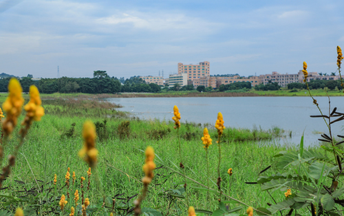 自然與產(chǎn)業(yè)“邂逅”—— 在光明汽車城文化主題公園中開啟浪漫之旅