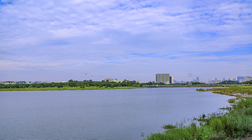 自然與產(chǎn)業(yè)“邂逅”—— 在光明汽車城文化主題公園中開啟浪漫之旅