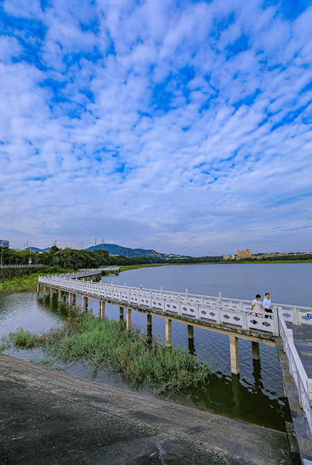 自然與產(chǎn)業(yè)“邂逅”—— 在光明汽車城文化主題公園中開啟浪漫之旅