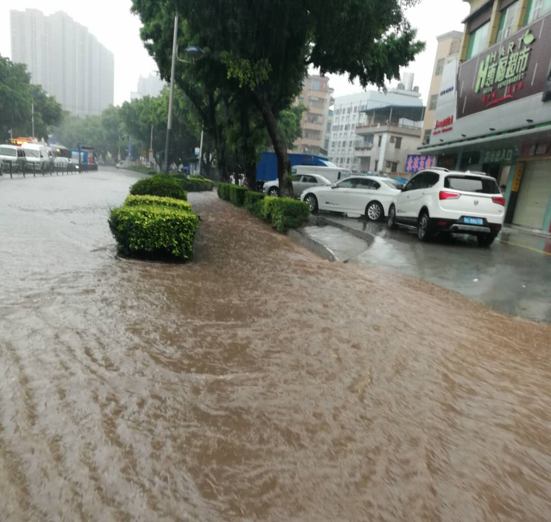 龙华市政公司成功应对“6.1”暴雨