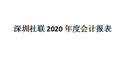 深圳社联2020年度会计报表