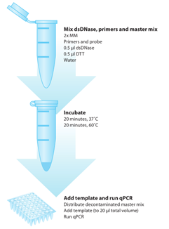 PCR去污染试剂盒 (PCR Decontamination Kit) PCR去污染试剂盒 (PCR Decontamination Kit)
