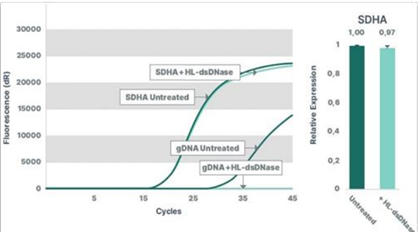 基因组DNA(gDNA)去除试剂盒 基因组DNA(gDNA)去除试剂盒