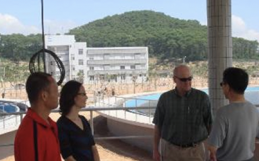 深圳某污水处理厂生活污水生化快速启动 深圳某污水处理厂生活污水生化快速启动