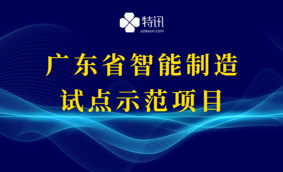 2021年广东省智能制造试点示范项目