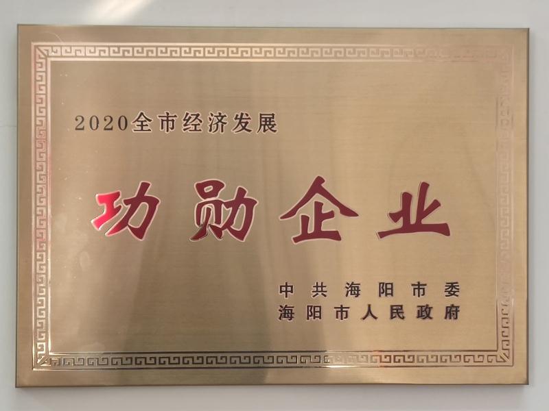 海阳永能生物科技有限公司荣获烟台海阳市2020年度“全市经济发展功勋企业”称号