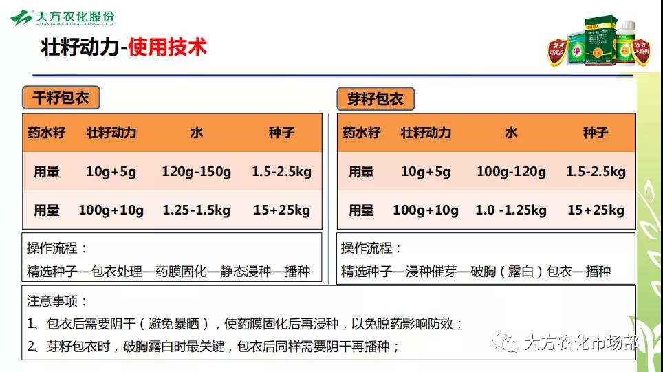 春启即巅峰 赢在壮籽动力