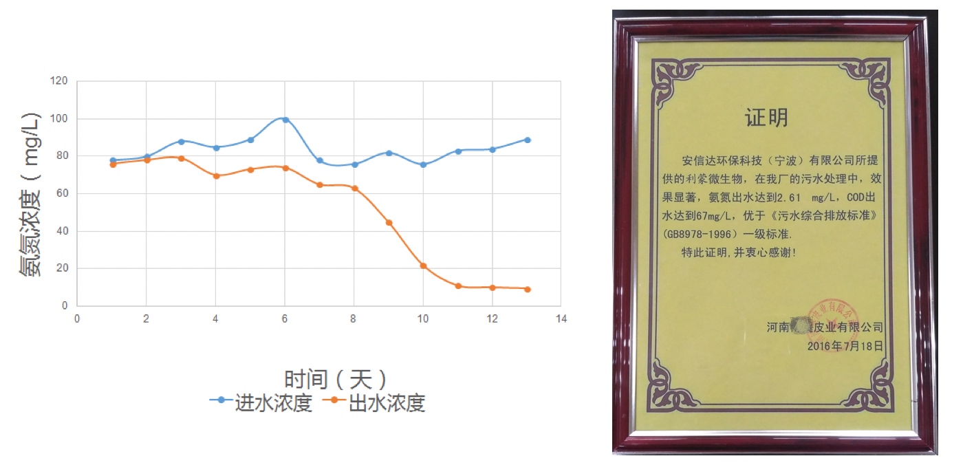 河南某皮业工业废水降解氨氮 河南某皮业工业废水降解氨氮