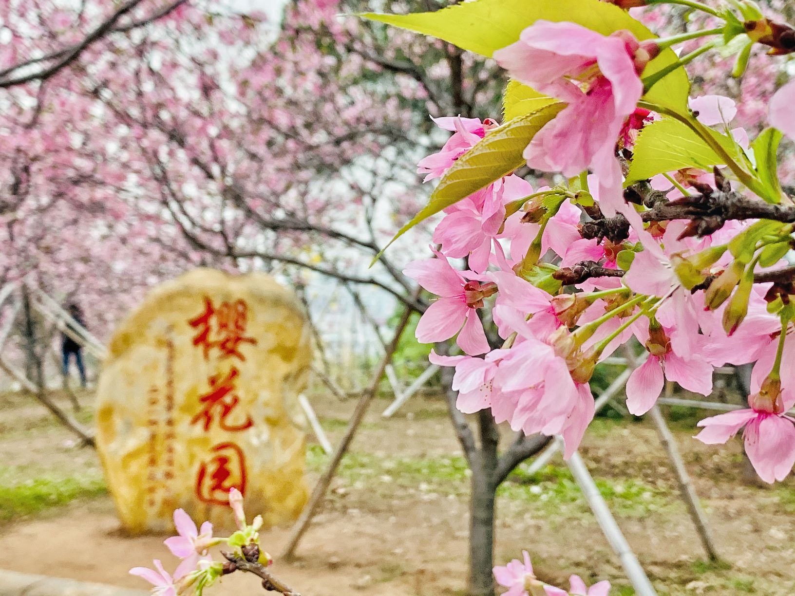 雄远党建 | “以史为鉴，映照自身”党史学习教育主题活动暨党建拓展活动