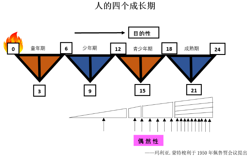 一位0-3岁一线教师想对家长说的话