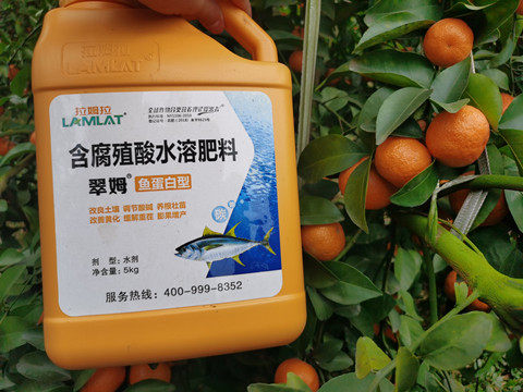 鱼蛋白水溶肥怎么样？会忍不住想要分享