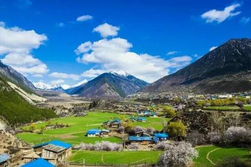 林芝：三月桃花與雪山、麥田、峽谷交織