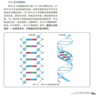  學術期刊?《科學Science》