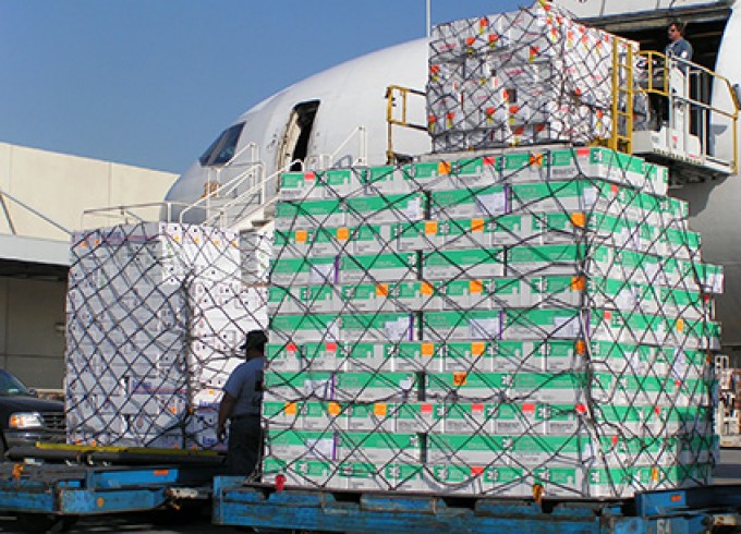 Air freight's global trend may be positive, but many regions are struggling