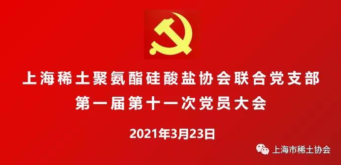 学党史、悟思想、认真开展民主评议