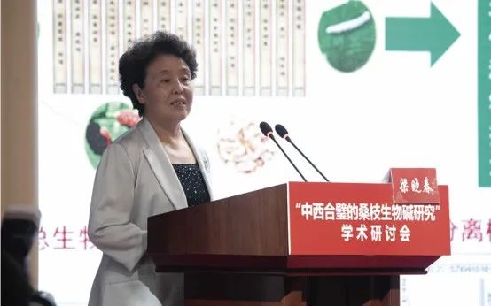 桑枝總生物堿片榮登2020年度中國藥學十大事件榜首