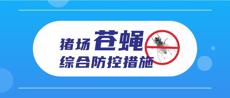 豬場蒼蠅綜合防控措施