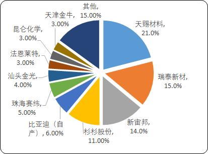 2021年中国锂离子电池材料细分产品重点企业竞争战略研究及市场发展规划预测   