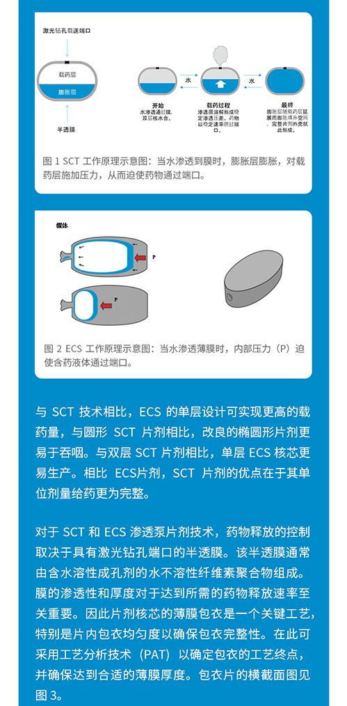 享·辉瑞PC1 | 药物释放及吸收：特殊的口服制剂递送技术