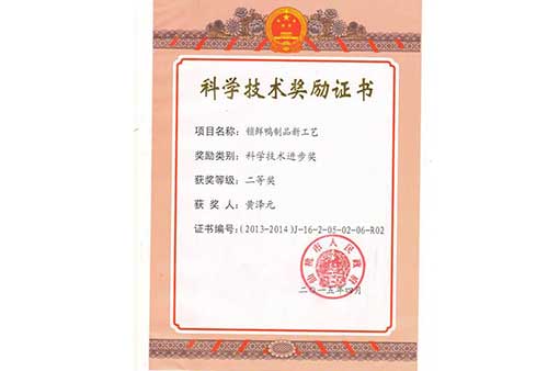科学技术进步奖-黄泽元