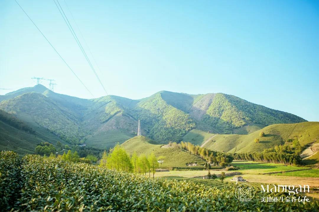 【葆蒂兰国际|美地港医疗资讯】美地港南太湖生命谷人间四月天，让整合医学护航生命之美