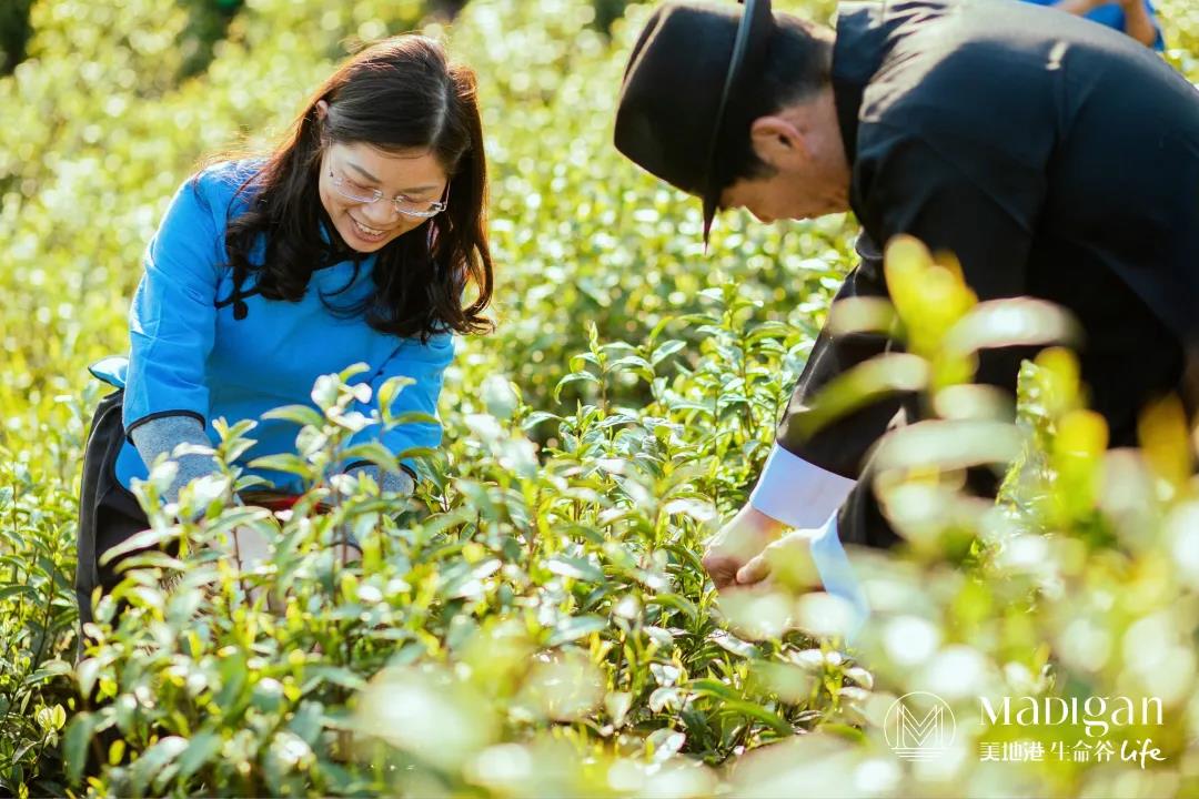 【葆蒂兰国际|美地港医疗资讯】美地港南太湖生命谷人间四月天,让整合医学护航生命之美 【葆蒂兰国际|美地港医疗资讯】美地港南太湖生命谷人间四月天,让整合医学护航生命之美