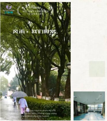 提升能级着力服务深耕，卫事康喜获多项殊荣