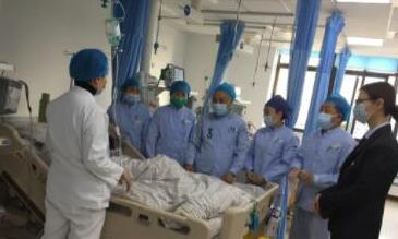 提升能级着力服务深耕，卫事康喜获多项殊荣