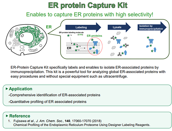 Funakoshi新品推荐—ER-Protein Capture Kit