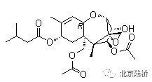 真菌毒素檢測技術——T-2毒素篇