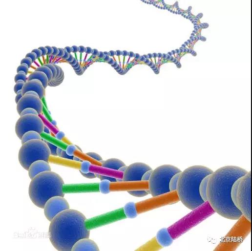 淺談微生物檢測中的分子生物學(xué)