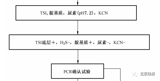 淺談微生物檢測中的分子生物學(xué)