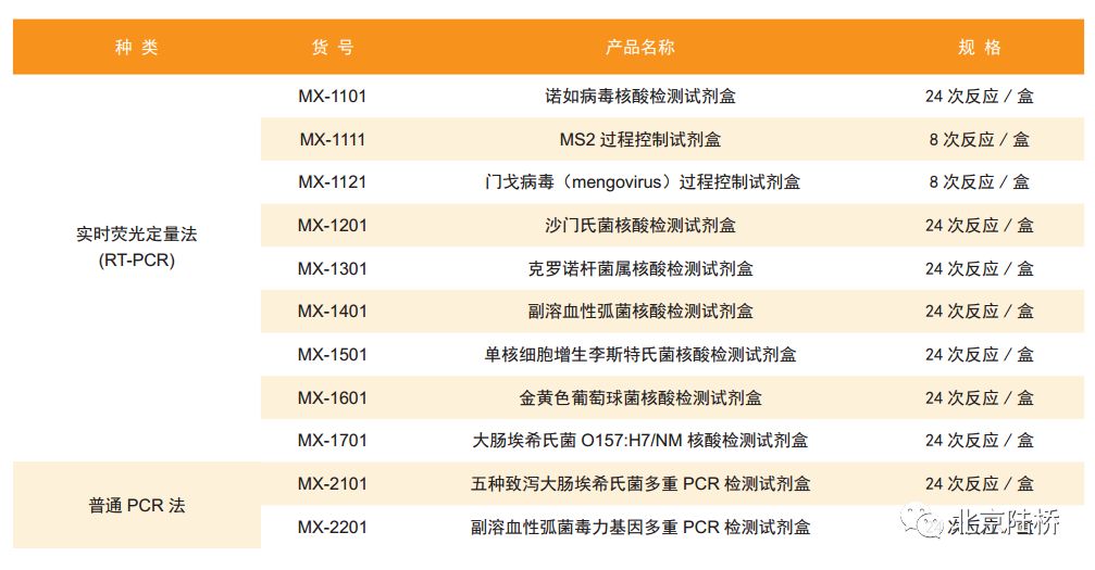 浅谈微生物检测中的分子生物学