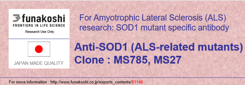 Funakoshi新品推荐——Anti-SOD1 (ALS-related mutants) Clone : MS785