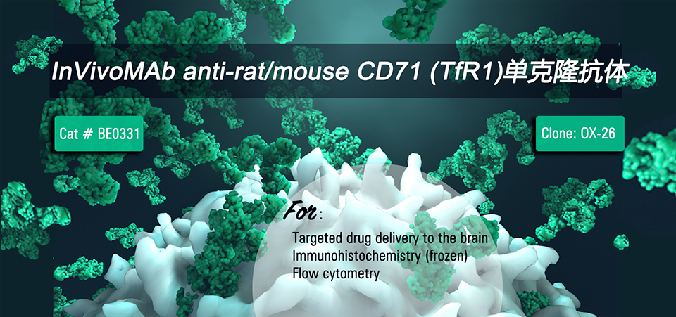 BioXcell新品推荐——InVivoMAb anti-rat/mouse CD71 (TfR1)单克隆抗体