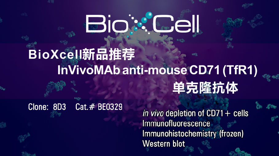 BioXcell新品推荐——InVivoMAb anti-mouse CD71 (TfR1) 单克隆抗体