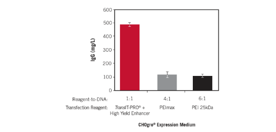 第二代CHO细胞瞬转和高滴度蛋白生产平台