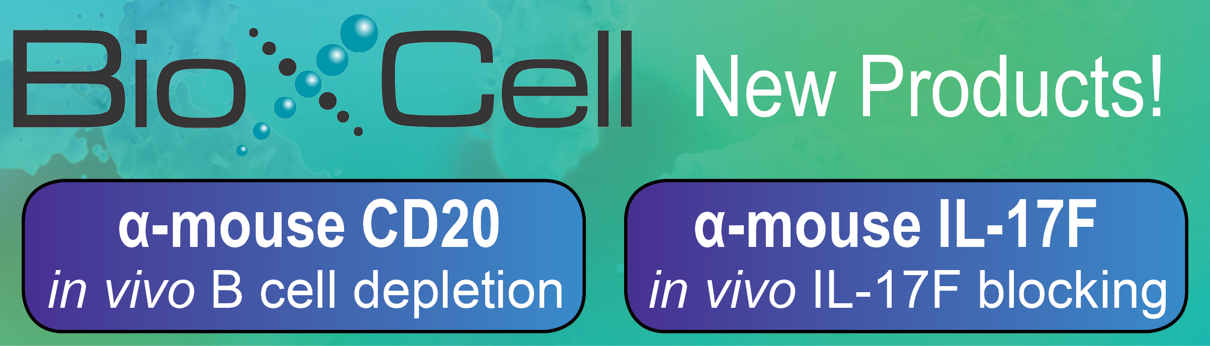 NEW!——InVivoMAb anti-mouse CD20、InVivoMAb anti-mouse IL-17F