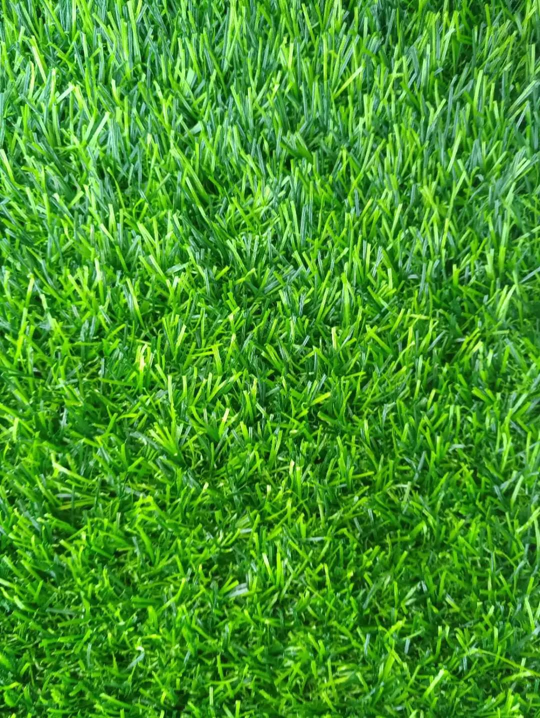 Lawn